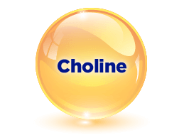 Choline