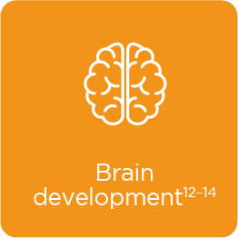 Brain Development