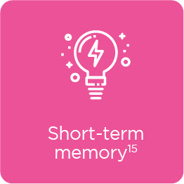 Short term Memory
