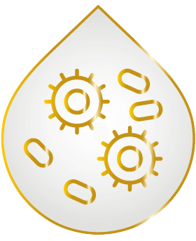 Bacteria Icon