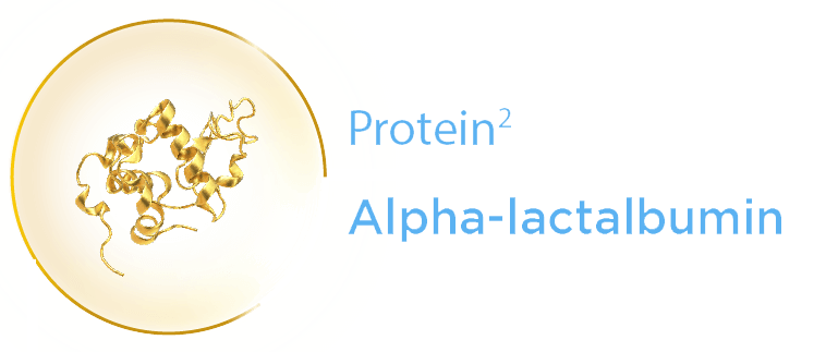 Protien Alpha-Lactalbumin