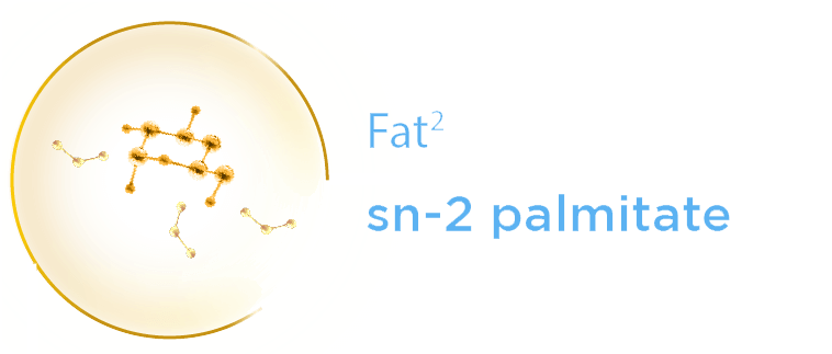 Fat Sn-2 Palmitate
