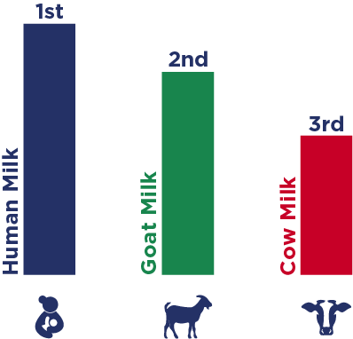 Digestion efficiency