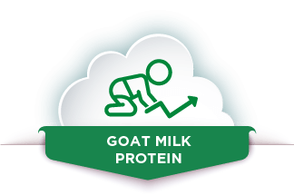 |Goat Milk Protien