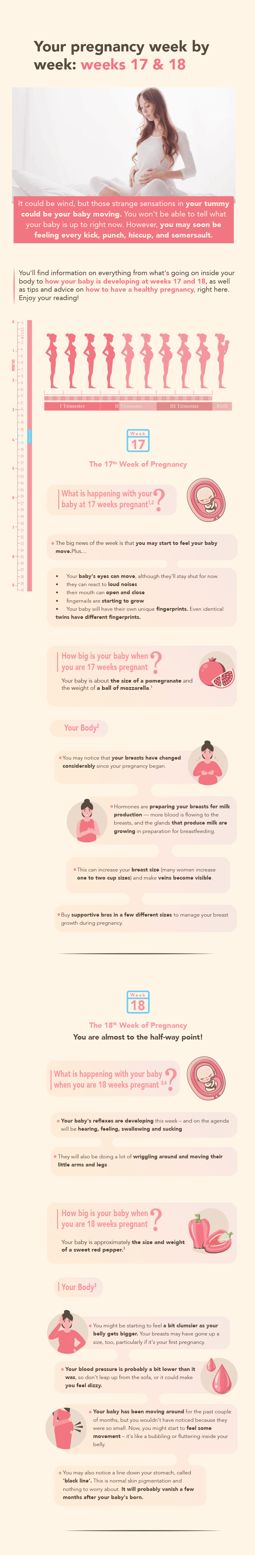 Pregnancy weeks 17&18