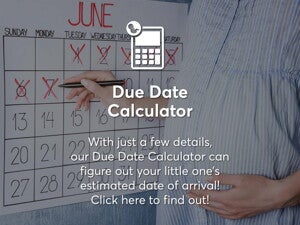 Due-Date-Calculator