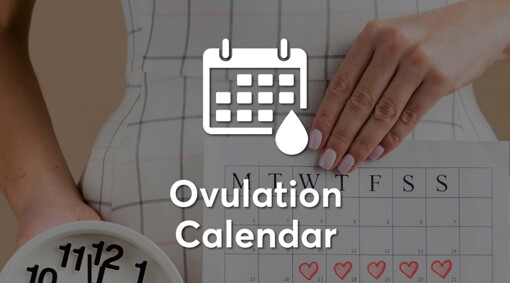 Ovulation-Calendar