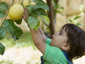 Raising a Healthy Baby: The First 365 Days
