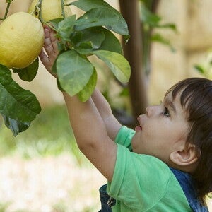 Raising a Healthy Baby: The First 365 Days